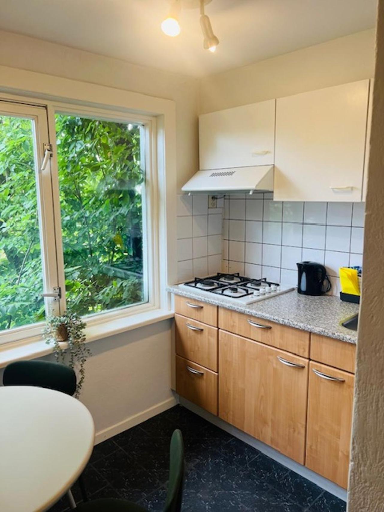 טילבורג 4P Apt With Rooftop Terrace At Piushaven Centrum מראה חיצוני תמונה